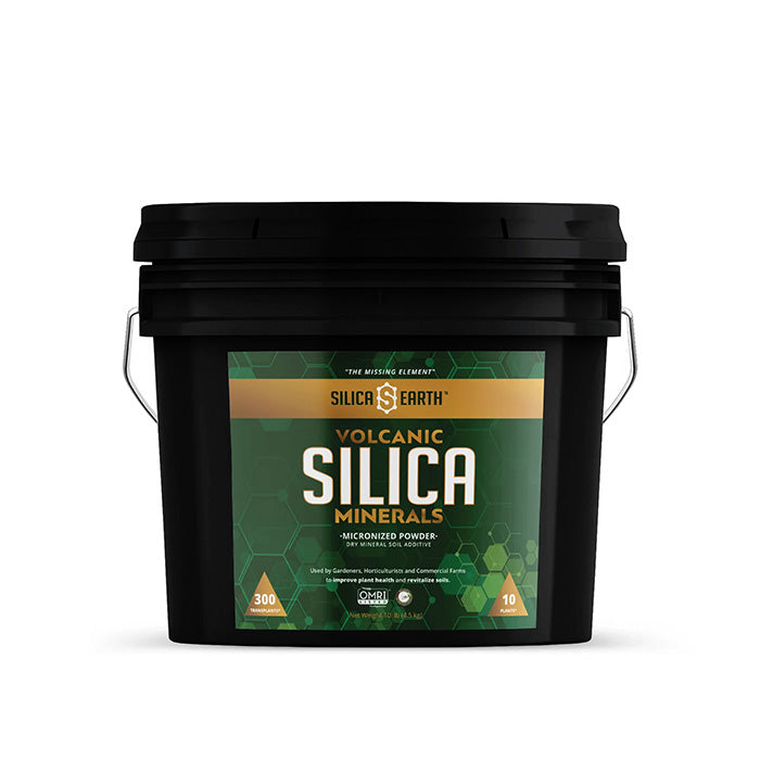 Silica Earth Volcanic Silica Minerals Micronized Powder 10lbs
