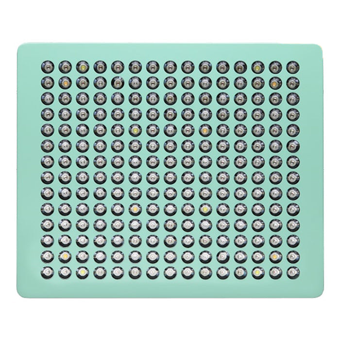 MINT LED 600 LED Panel (420 Watt) 17500lm