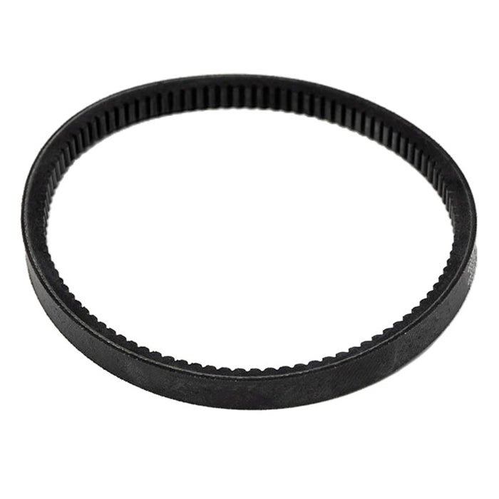 Centurion Gladiator Belt (SPECIAL ORDER ITEM)