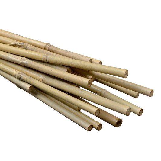 Natural Bamboo Stakes 6ft 15-17mm (100pcs/Bale)