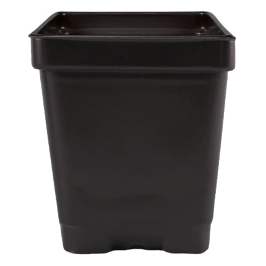 3.25'' x 3.25'' x 3.5'' 0.5qt Square Pot