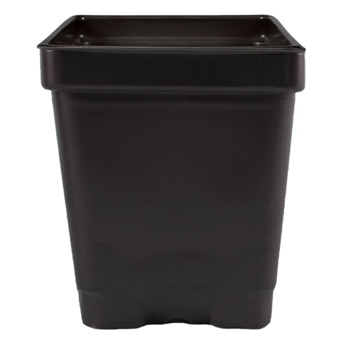 3.25'' x 3.25'' x 3.5'' 0.5qt Square Pot