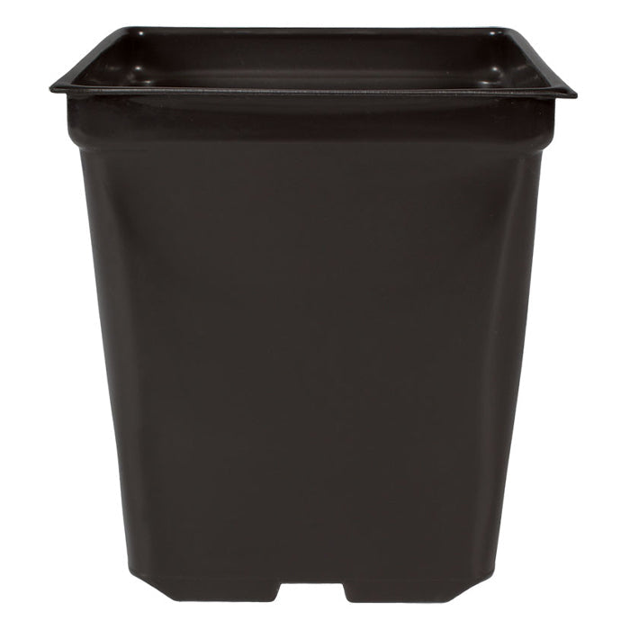 5'' x 5'' x 4.5'' Square 1.25qt Square Pot