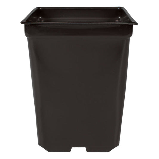 Square Pot 2qt 5.5in x 5.5in x 6in