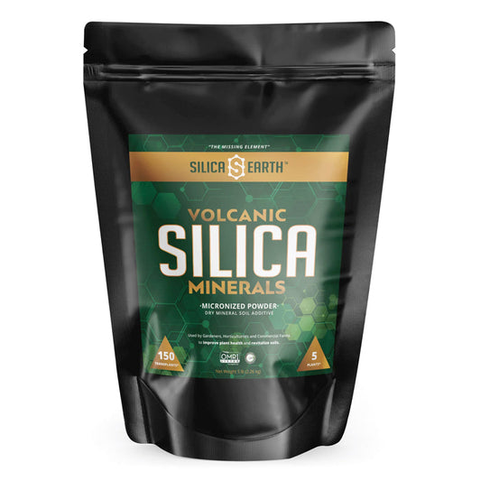 Silica Earth Volcanic Silica Minerals Micronized Powder 5lbs