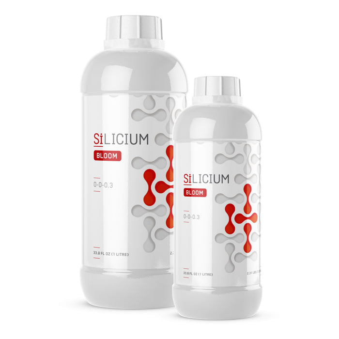 Silicium Bloom 250 ML