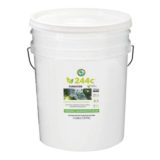 SNS 244c Fungal Control Concentrate 5 Gallon