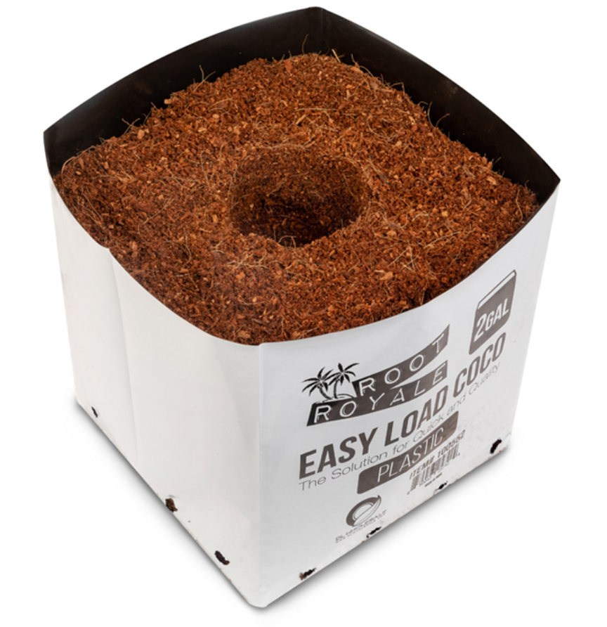 Root Royale Easy Load Coco