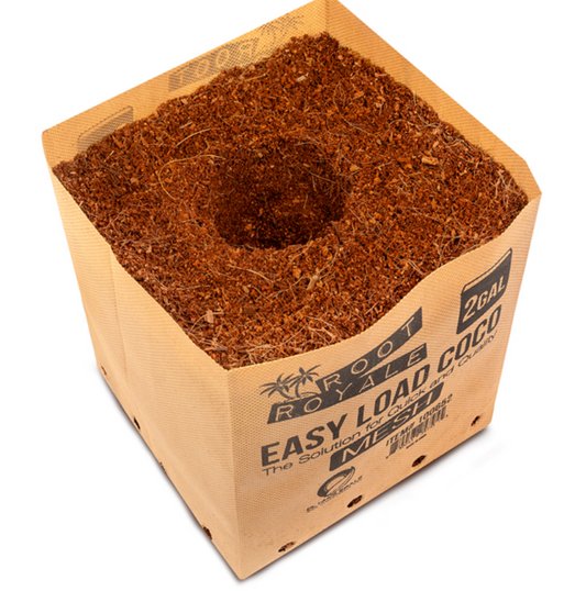 Root Royale Easy Load Coco Mesh Pot 2 gal (Box of 30)